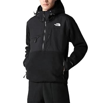   フリース アノラック M　デナリ ノースフェイス] M'S DENALI FLEECE アノラック☆新作・25AW